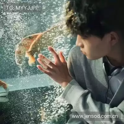雷芯如